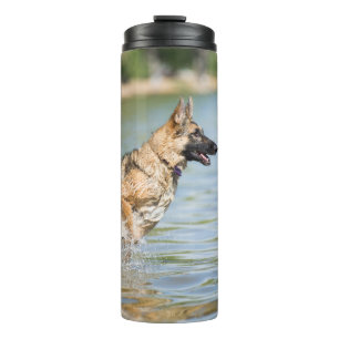 Garrafa Térmica German shepherd Salta Em Água