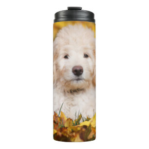 Garrafa Térmica Goldendoodododododle Puppy Em Folhas De Queda
