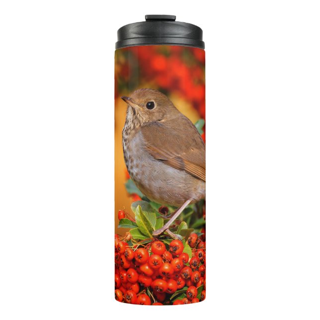 Garrafa Térmica Hermit Thrush Songbird no Scarlet Firethorn (Frente)