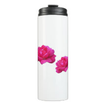 Lindas flores rosa rosa