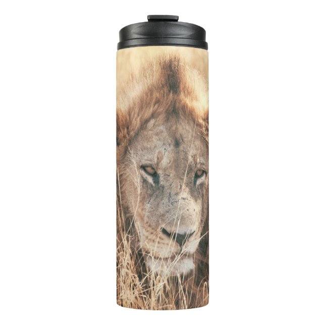 GARRAFA TÉRMICA  LION KING (Frente)