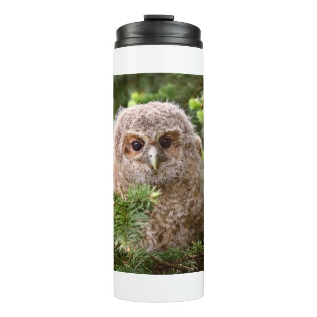 Garrafa Térmica Little Owl 11 (Frente)