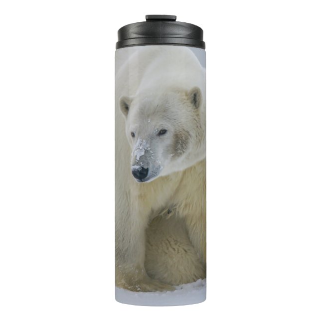 GARRAFA TÉRMICA  MÃE DE URSO POLAR E NORTE DE CUB ALASKA (Frente)
