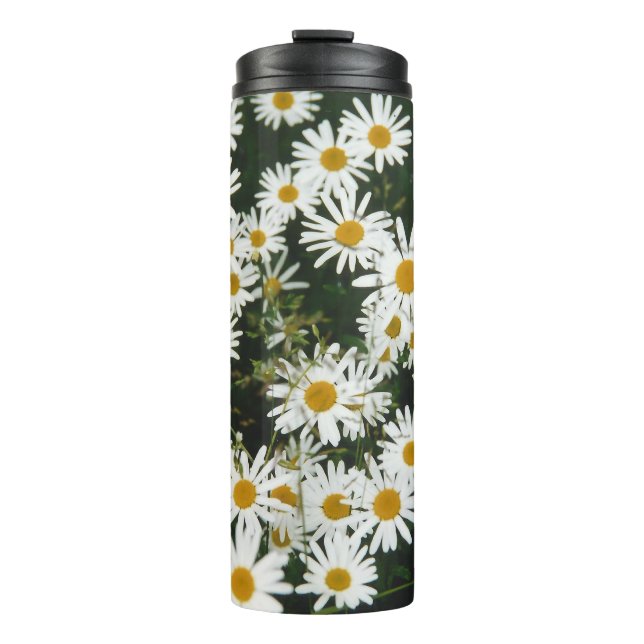 Garrafa Térmica Margarida Branca de Oxeye, Moon Daisy Meadow (Frente)