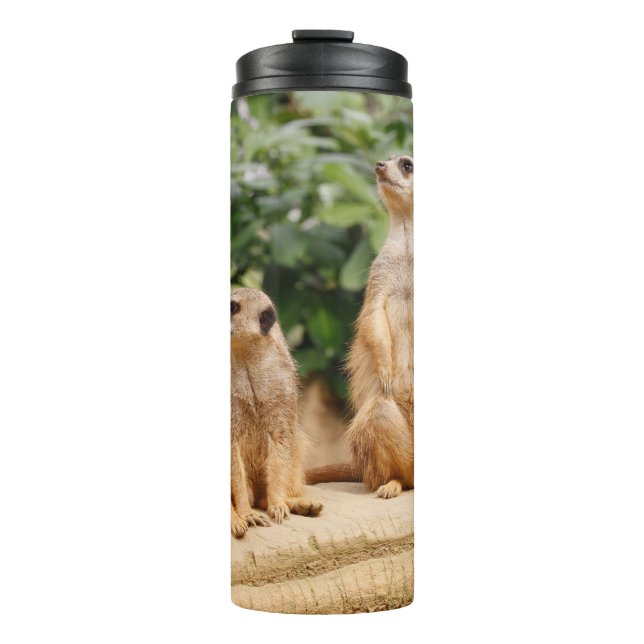 Garrafa Térmica Meerkat 009 (Frente)
