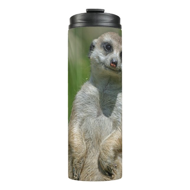 Garrafa Térmica Meerkat 013 (Frente)