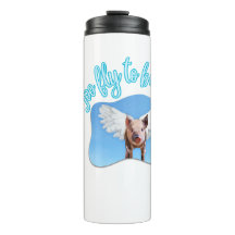 Muito fly para ser amigo
