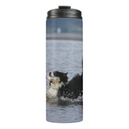 Garrafa Térmica O cão parvo na água, tumbler, personaliza