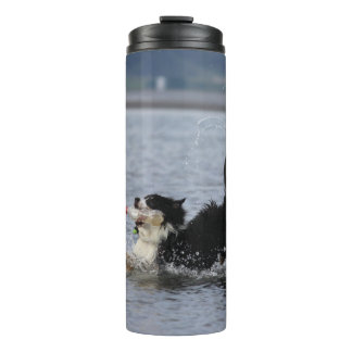 Garrafa Térmica O cão parvo na água, tumbler, personaliza
