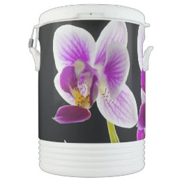 Garrafa Térmica Orquídea branca e roxa