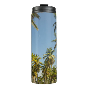 Garrafa Térmica Palmeira de coco verde perto do campo de grama ver