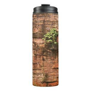 Garrafa Térmica Parede de tijolo velha quebrada