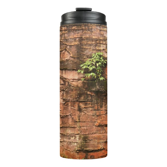 Garrafa Térmica Parede de tijolo velha quebrada (Frente)