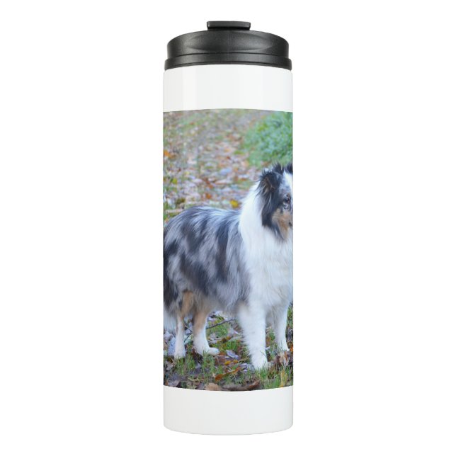 Garrafa Térmica Pastor de Shetland Blue Merle (Frente)