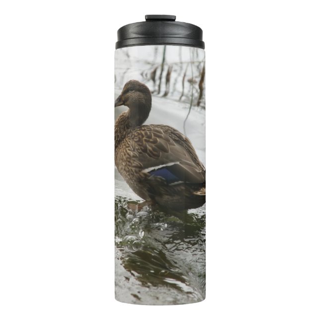 Garrafa Térmica Pato cinza no lago escuro (Frente)