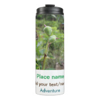 Plantas naturais fotografia água de praia viagem