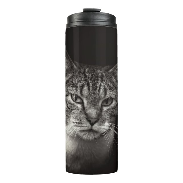 GARRAFA TÉRMICA  PRATA TABBY CAT (Frente)