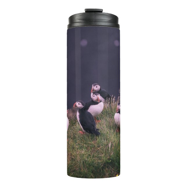 Garrafa Térmica Puffins Atlântico (Frente)