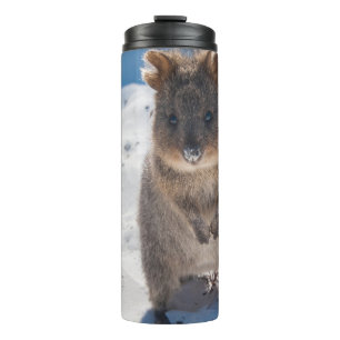 Garrafa Térmica Quokka na Praia Austrália, Acentuação Rosa Meninas