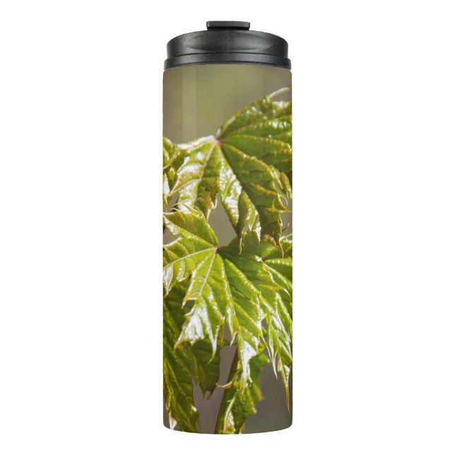 Garrafa Térmica Ramo de bordo verde fofo com folhas pequenas (Frente)