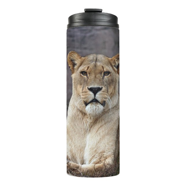 GARRAFA TÉRMICA  RELAXAÇÃO DE LIONABILIDADE (Frente)