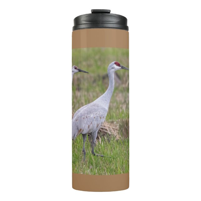 Garrafa Térmica Sand Hill Crane Thermal Tumbler (Frente)