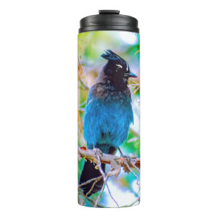 Garrafa Térmica Steller's Jay - Fotografia original