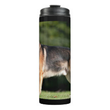 Sun-Kissed no parque