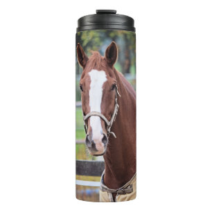 Garrafa Térmica Tumbador de cavalo