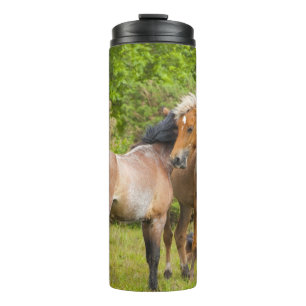Garrafa Térmica Tumbador de cavalo