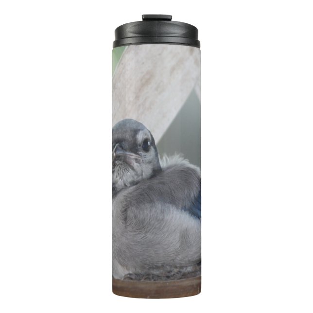 Garrafa Térmica Tumbler Térmico do Baby Blue Jay (Frente)
