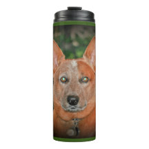 Tumbler vermelho do Thermal do cão de Heeler do