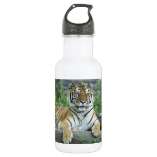 GARRAFA TIGRE LINDO