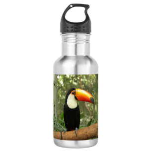 Garrafa Toucan na ramificação da árvore