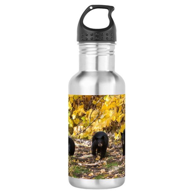 Garrafa Três Ursos (Frente)