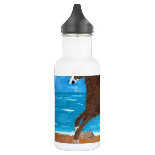 Garrafa um cavalo na praia