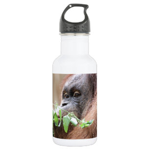 Garrafa Utan005