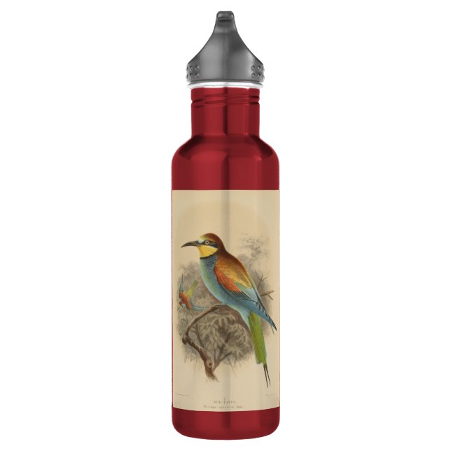 Garrafa Vintage - Ilustração do Bee-Eater Europeu (Direita)