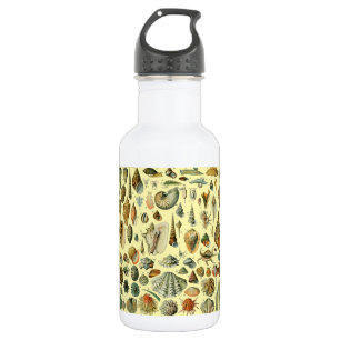 Garrafa Vintage Mollusk Shell Seashell Art