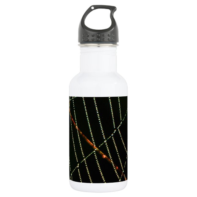 Garrafa Web Spider (Frente)