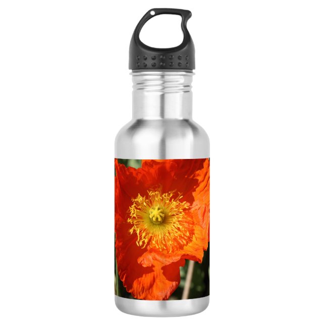 Garrafa Welsh Poppy (Laranja) (Frente)