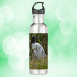 Garrafa Wood Stork Bird Wetlands Foto<br><div class="desc">Você é fã de garrafas de água do tema da natureza? Você gosta de pássaros? Esta garrafa d'água tem uma fotografia de um cabeça-seca que se diverte em zonas úmidas da Flórida.</div>