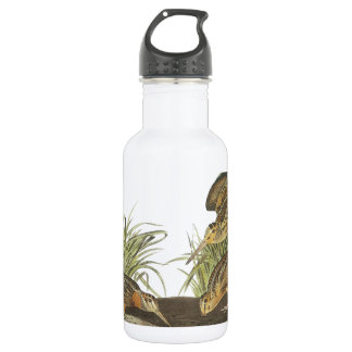 Garrafa Woodcock Americano por Audubon