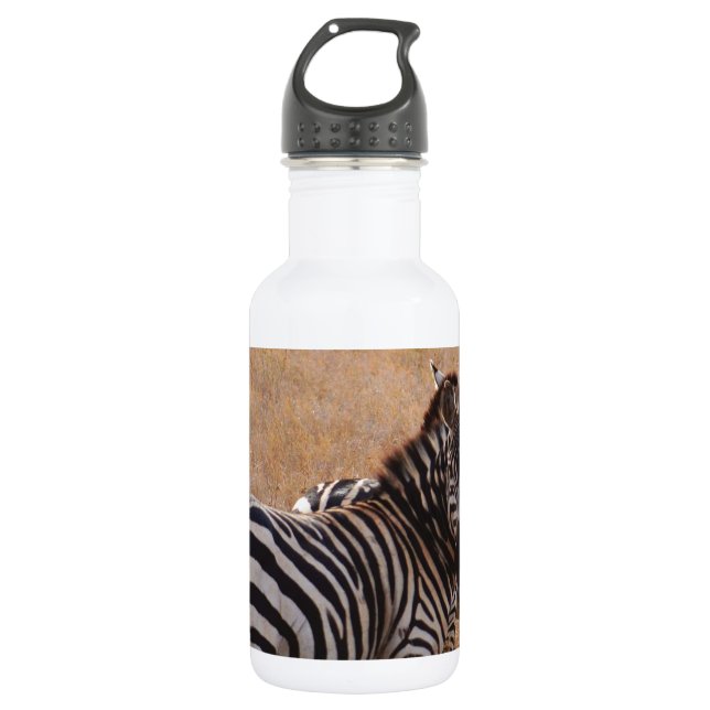 Garrafa Zebra no Quênia (Frente)