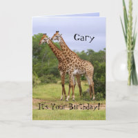 Gary "vai" cartão selvagem dos girafas do feliz
