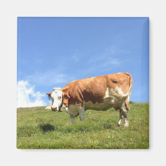 Gästehaus olhar de distante - íman de vaca