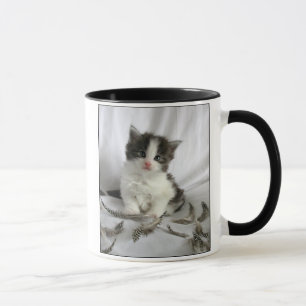 Gatinho bonito do racum de Maine com caneca das