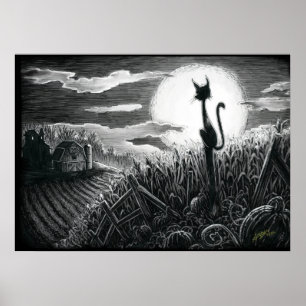 Gatinho Boo no Poster Luar