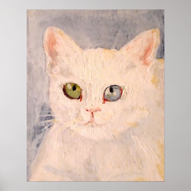 Gatinho Branco com Olho Azul e Poster de Olhos Ver (Frente)