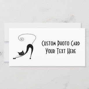 Gatinho branco preto 2